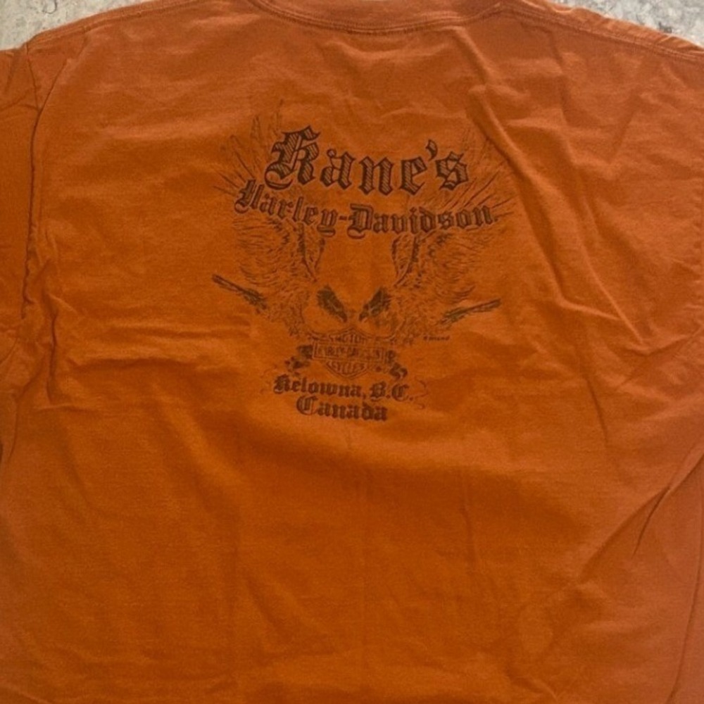 Harley Davidson 2014 Speedy's Pinup T-Shirt Burnt Orange Kane\'s L Bikercore Y2K - Picture 4 of 6